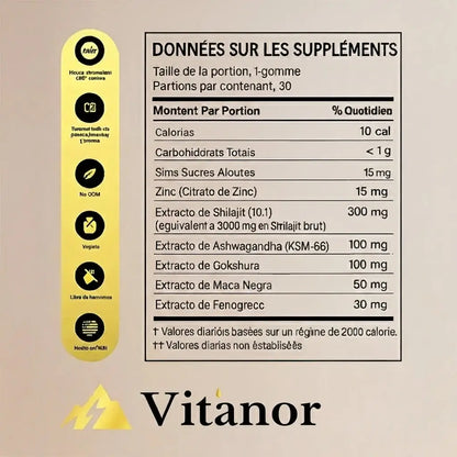 Vitanor Shilajit Gold - Force et vitalite Himalaya