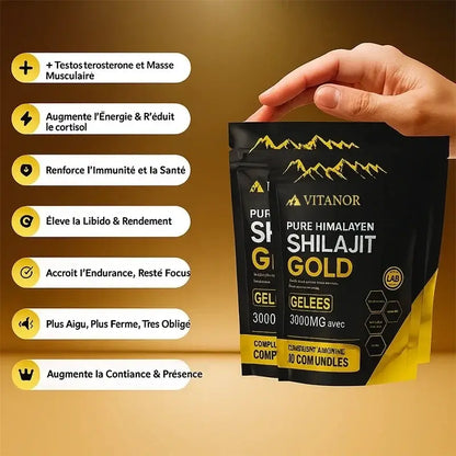 Vitanor Shilajit Gold - Force et vitalite Himalaya
